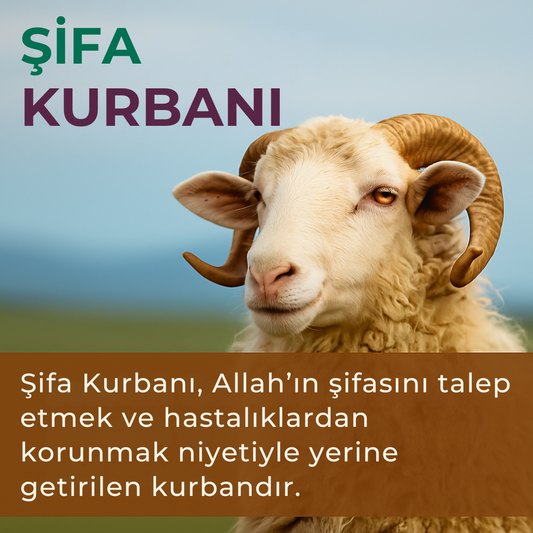 Şifa Kurbanı